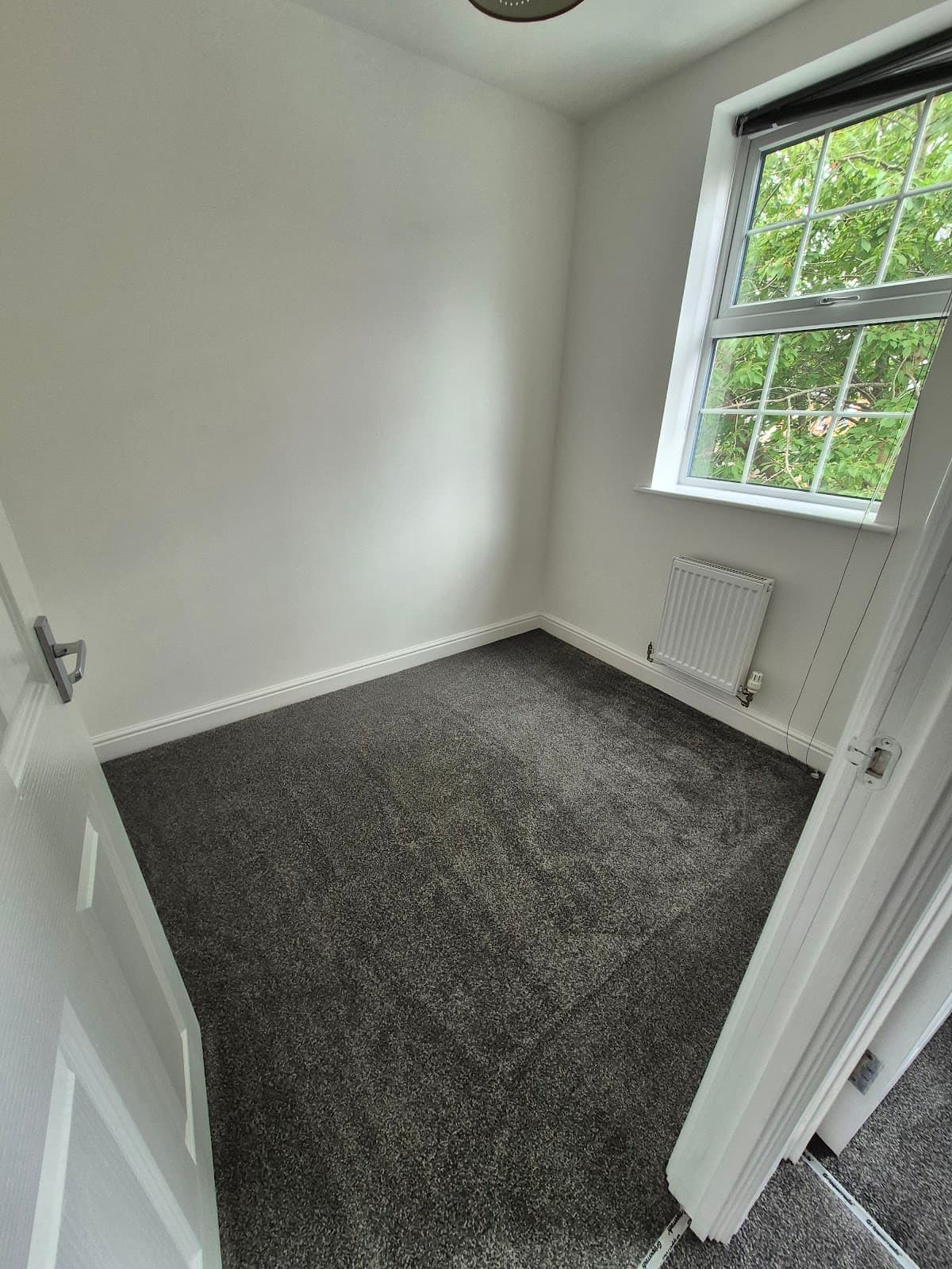 Painting and decorating — clean ceiling and walls throughout