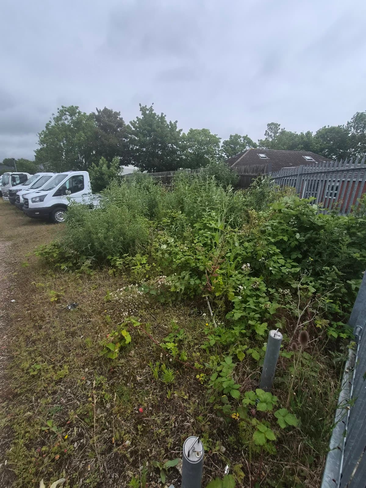 Commercial Compound Clearance — before