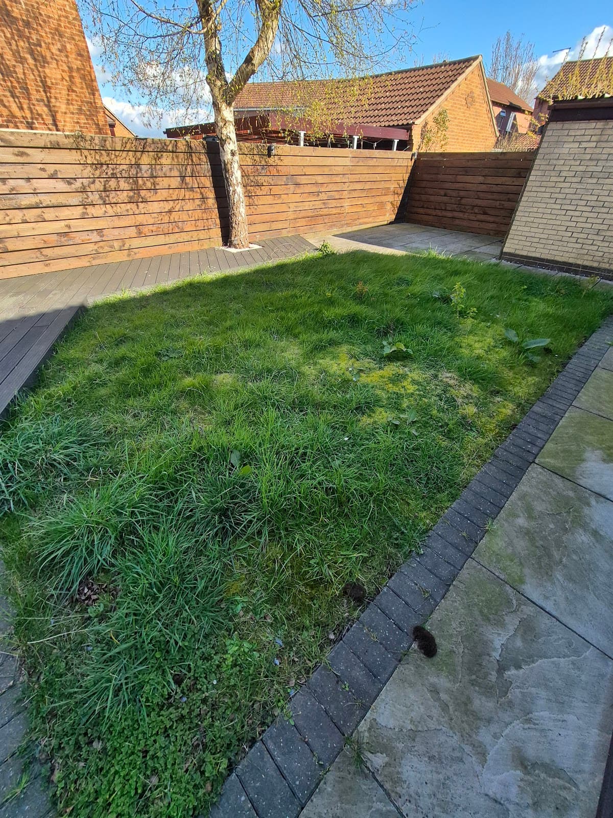 Glebe Park Reset — before