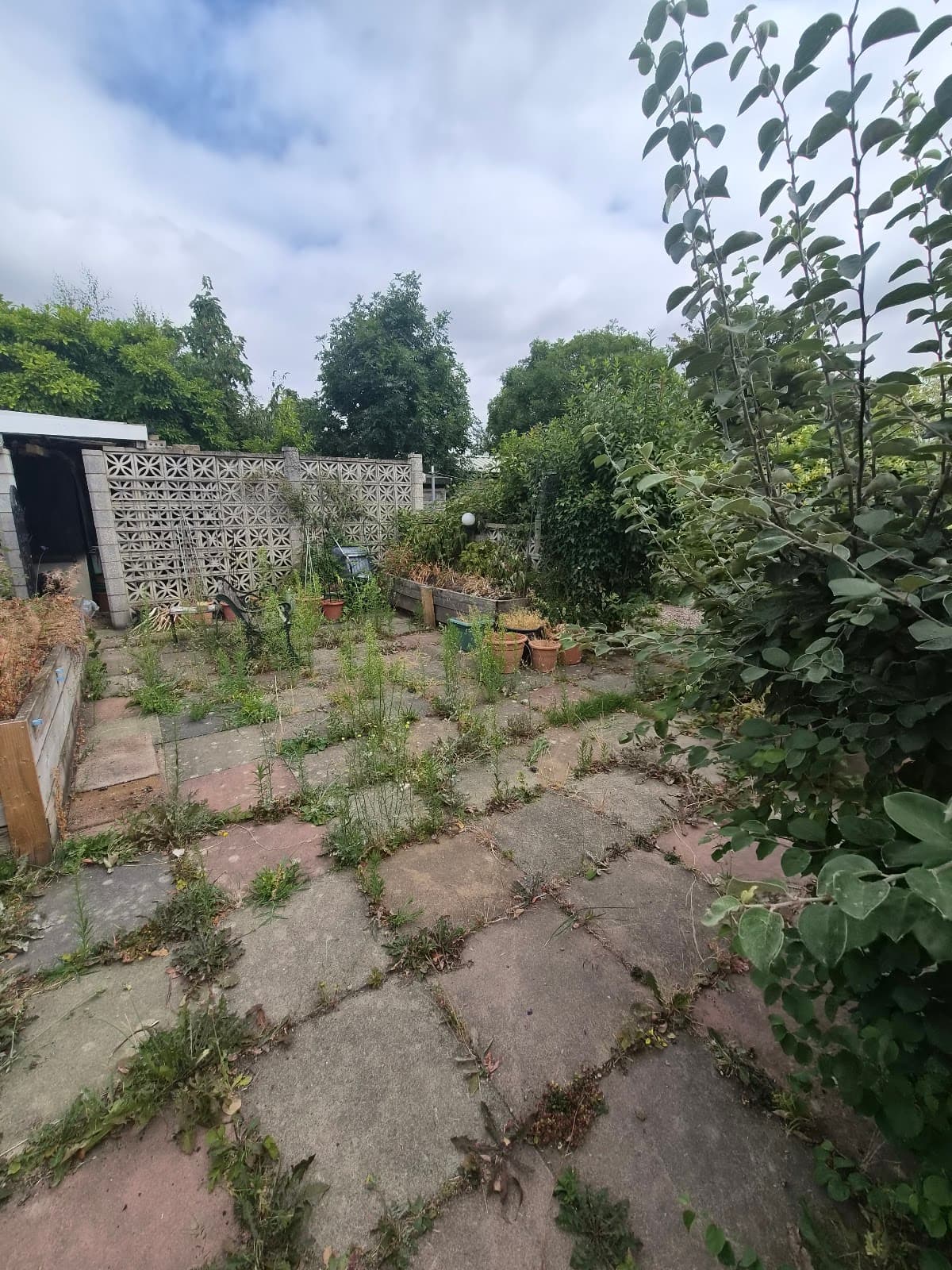 Fosse Road Clearance — before