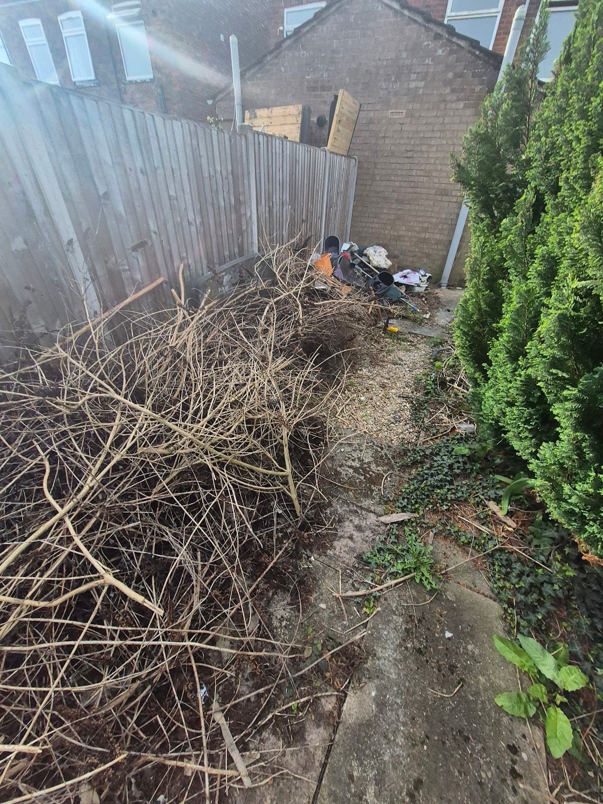 Before — Heavily overgrown garden prior to clearance and landscaping, Gainsborough