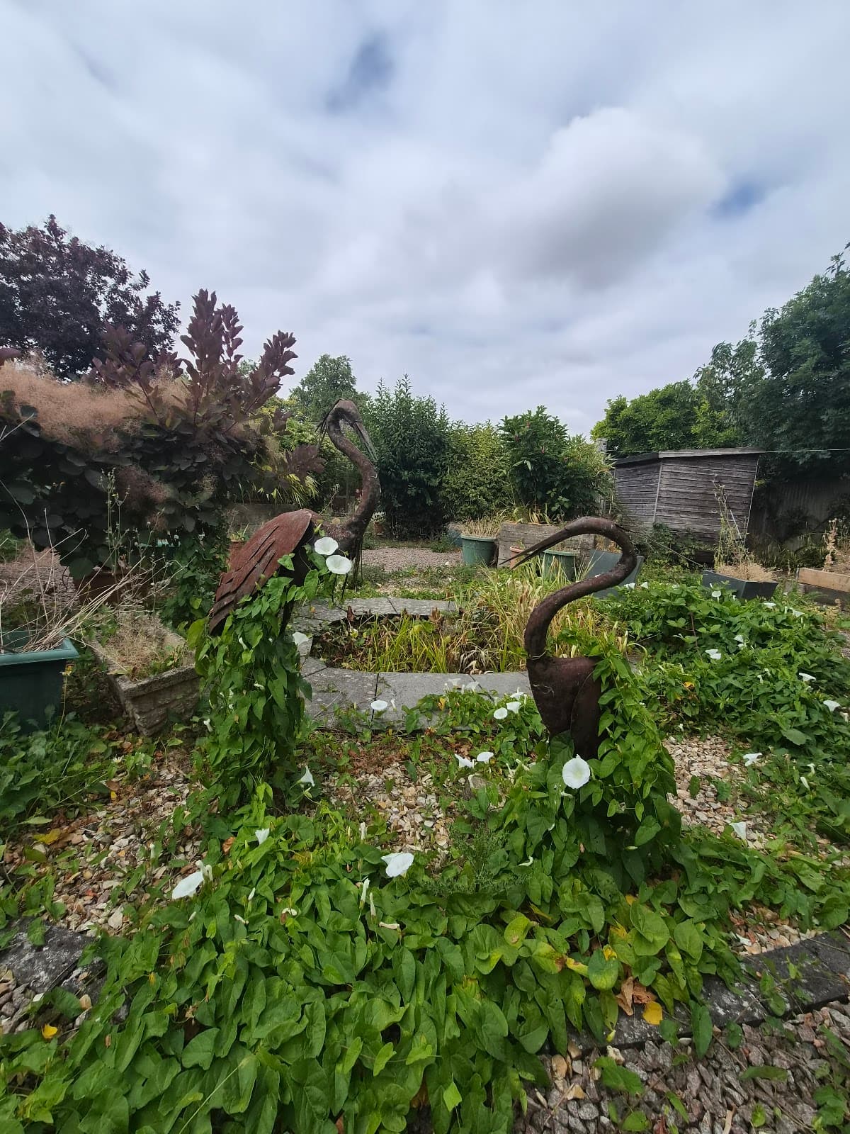 Fosse Road Clearance — before