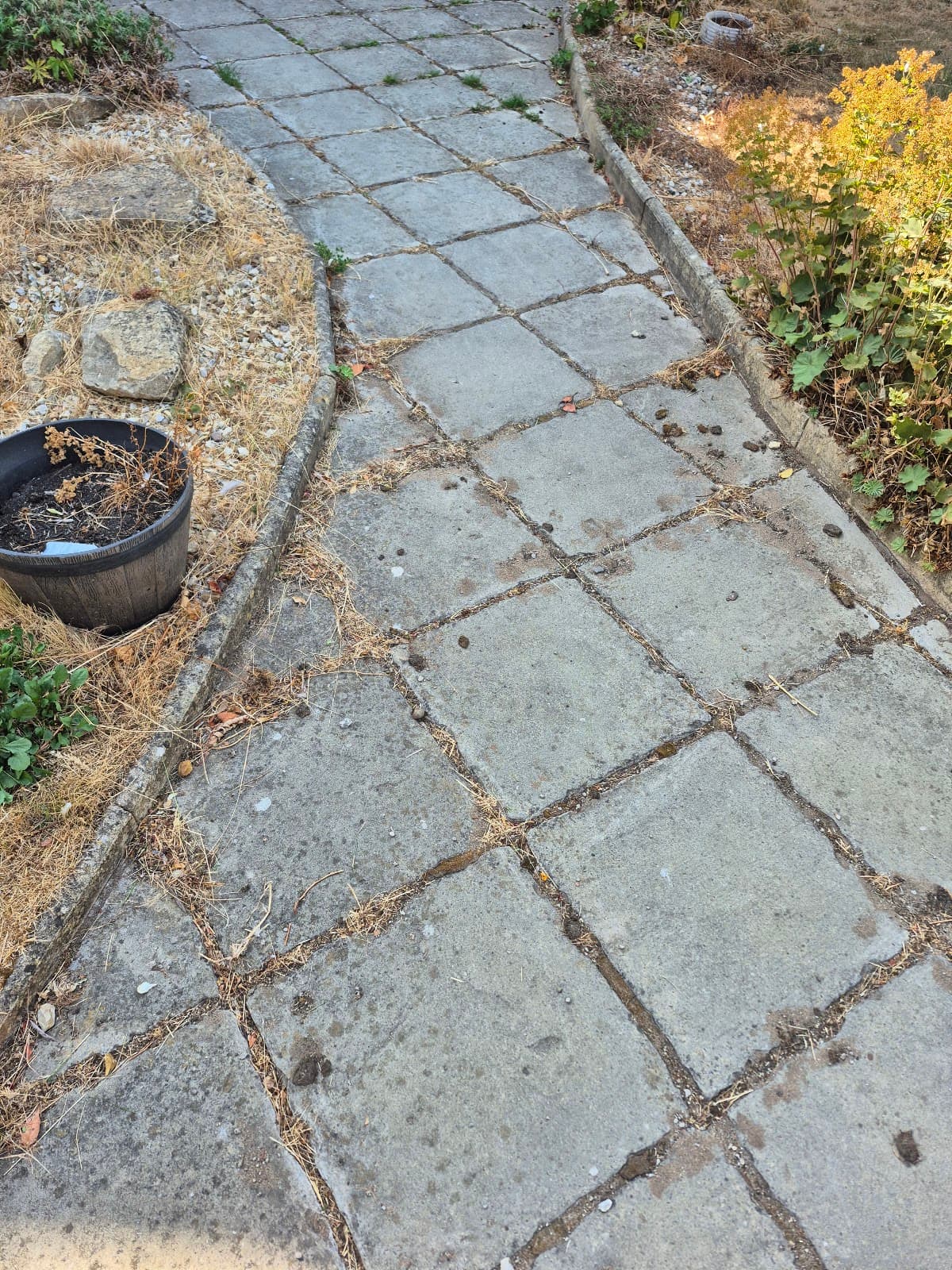 Salisbury Garden Reset — before