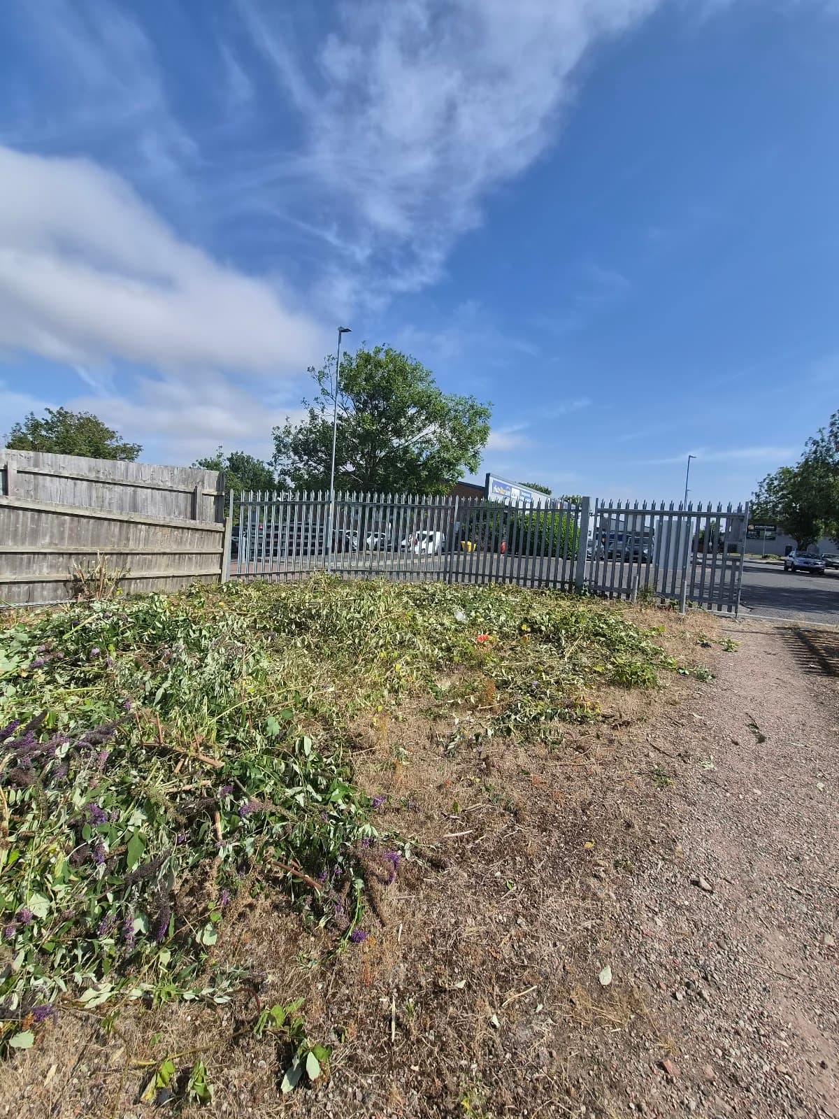 Commercial Compound Clearance — after