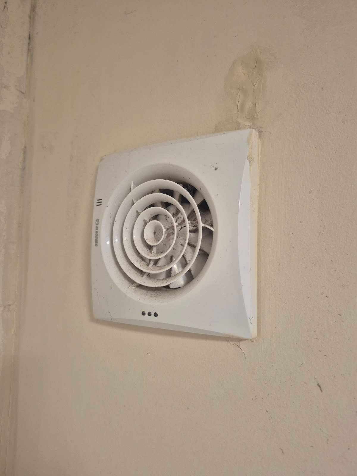 Penetrating damp — water ingress causing staining and mould growth on rental property wall
