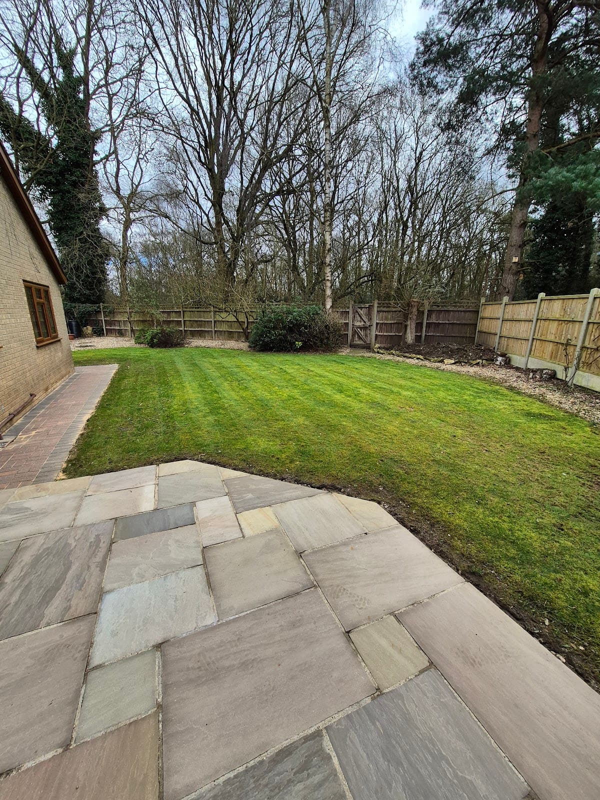 Garden maintenance — clematis pruning and tidy