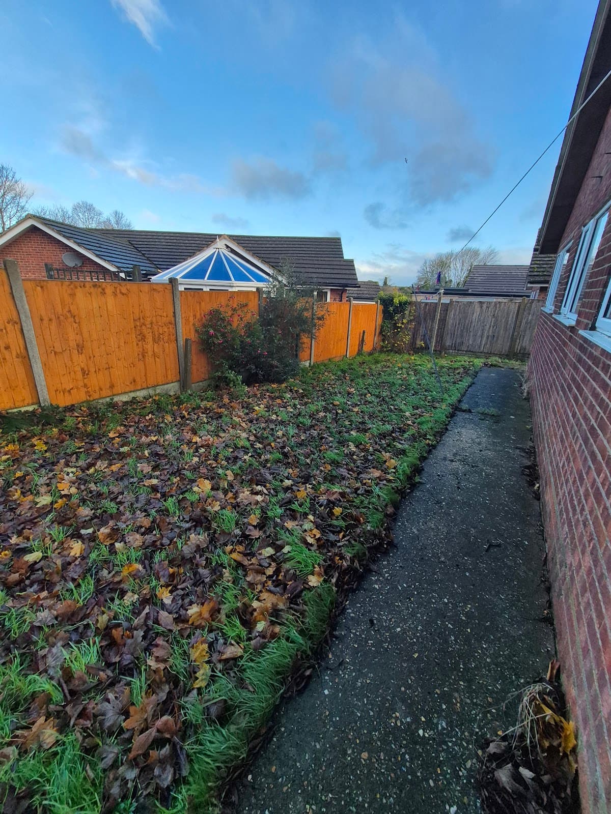 Before — Severely overgrown garden prior to clearance and landscaping, Lincolnshire