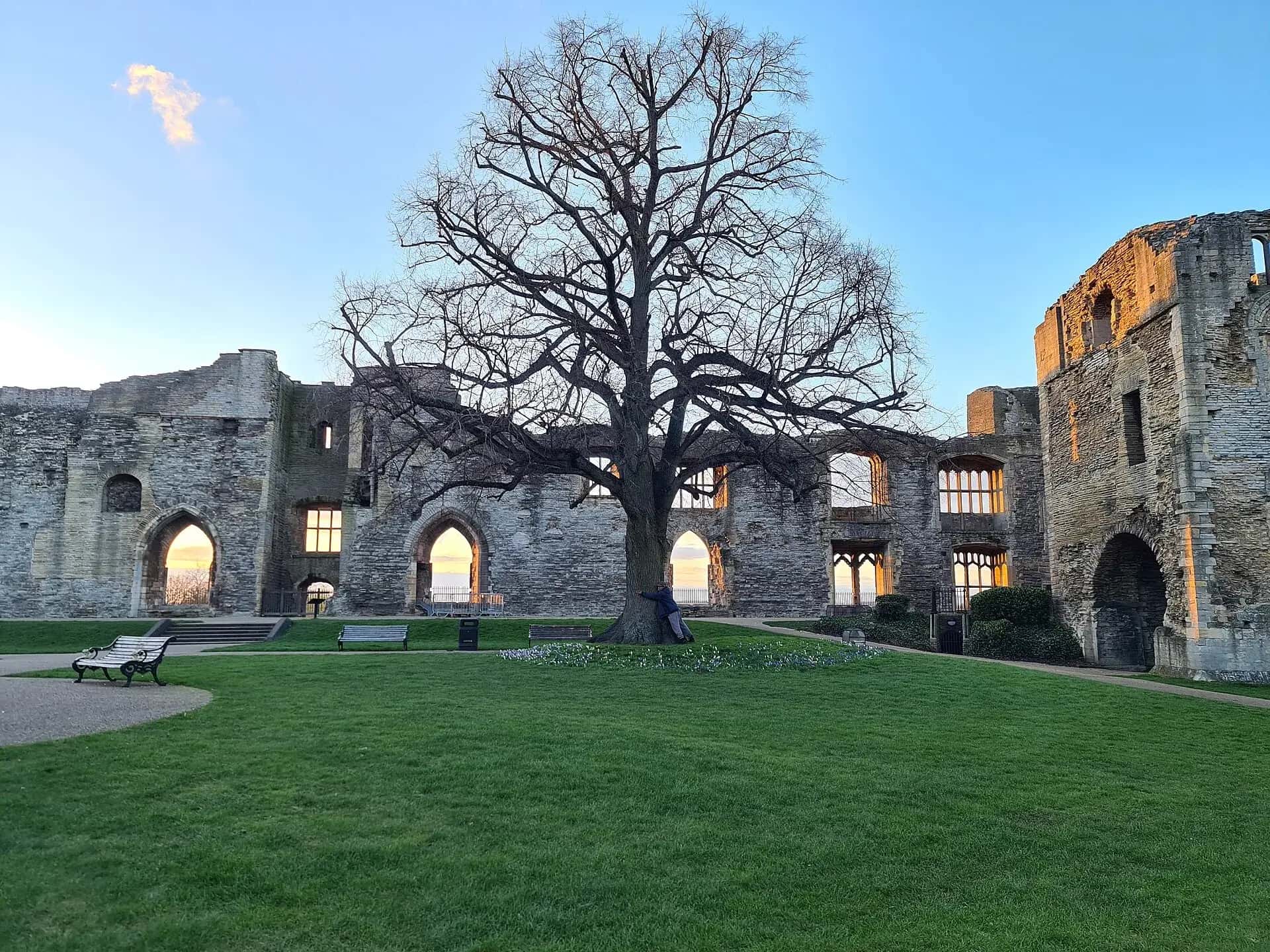 Newark Castle on the River Trent — LWR Group property maintenance in Newark