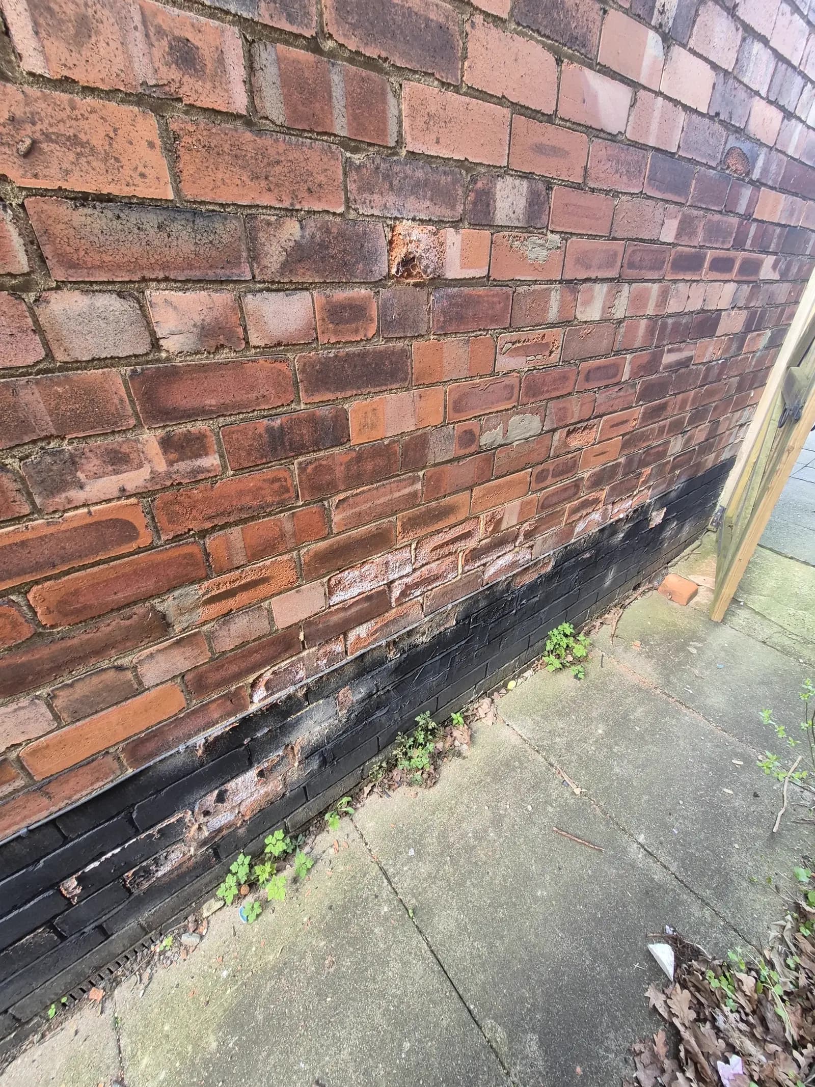Damp and mould survey by LWR Group at a Lincoln property