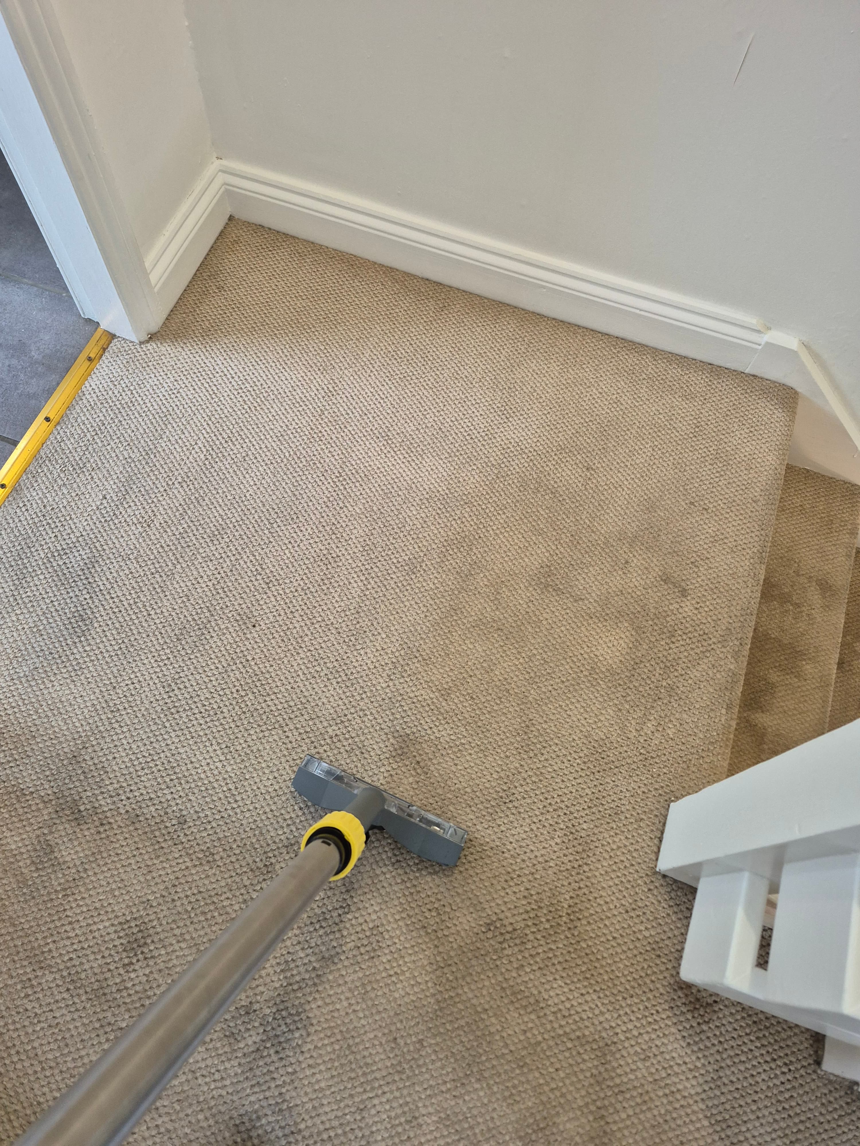 Carpet cleaning Lincoln — professional hot water extraction, LWR Group