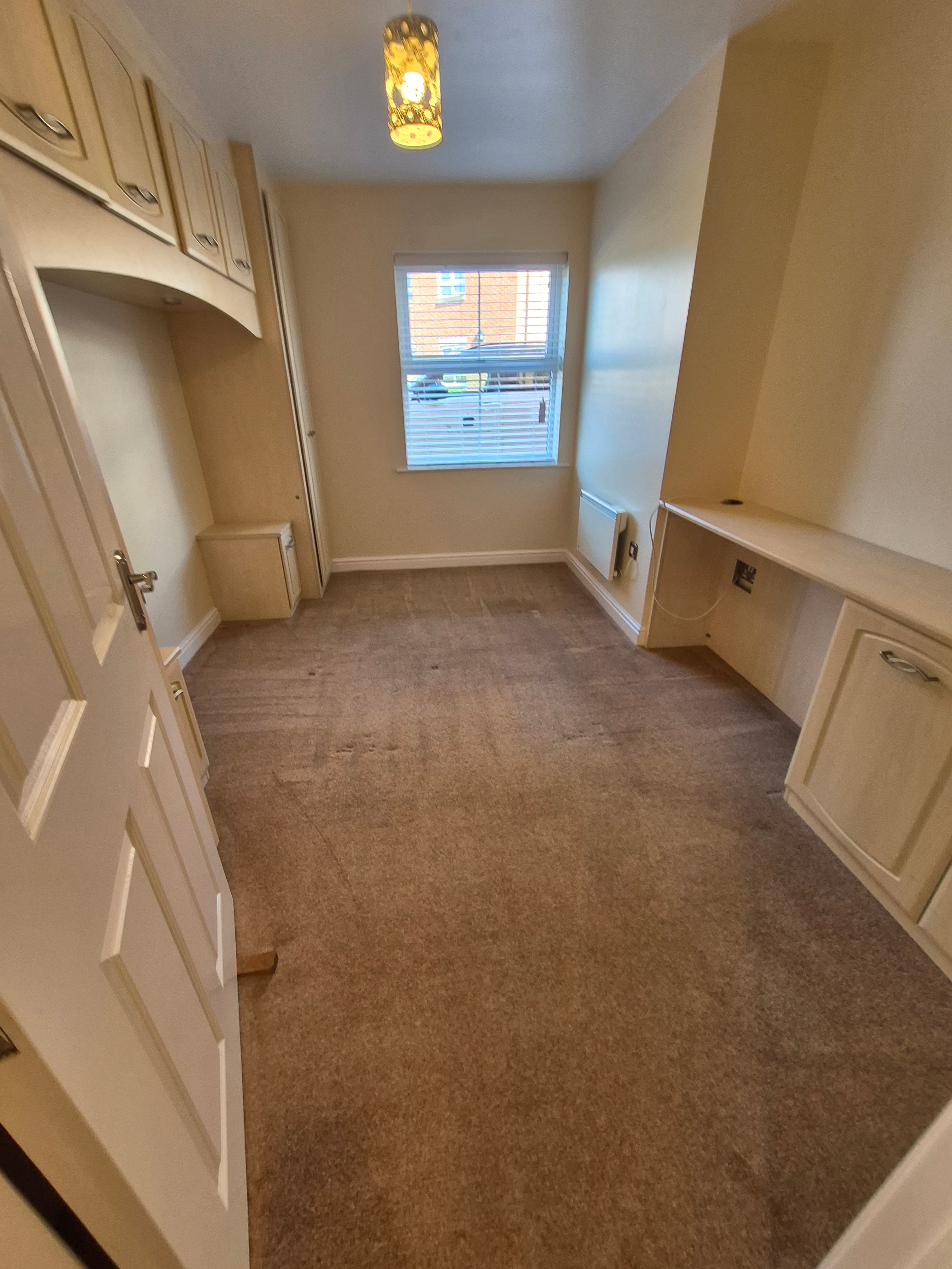 Professional carpet cleaning result — LWR Group Lincoln