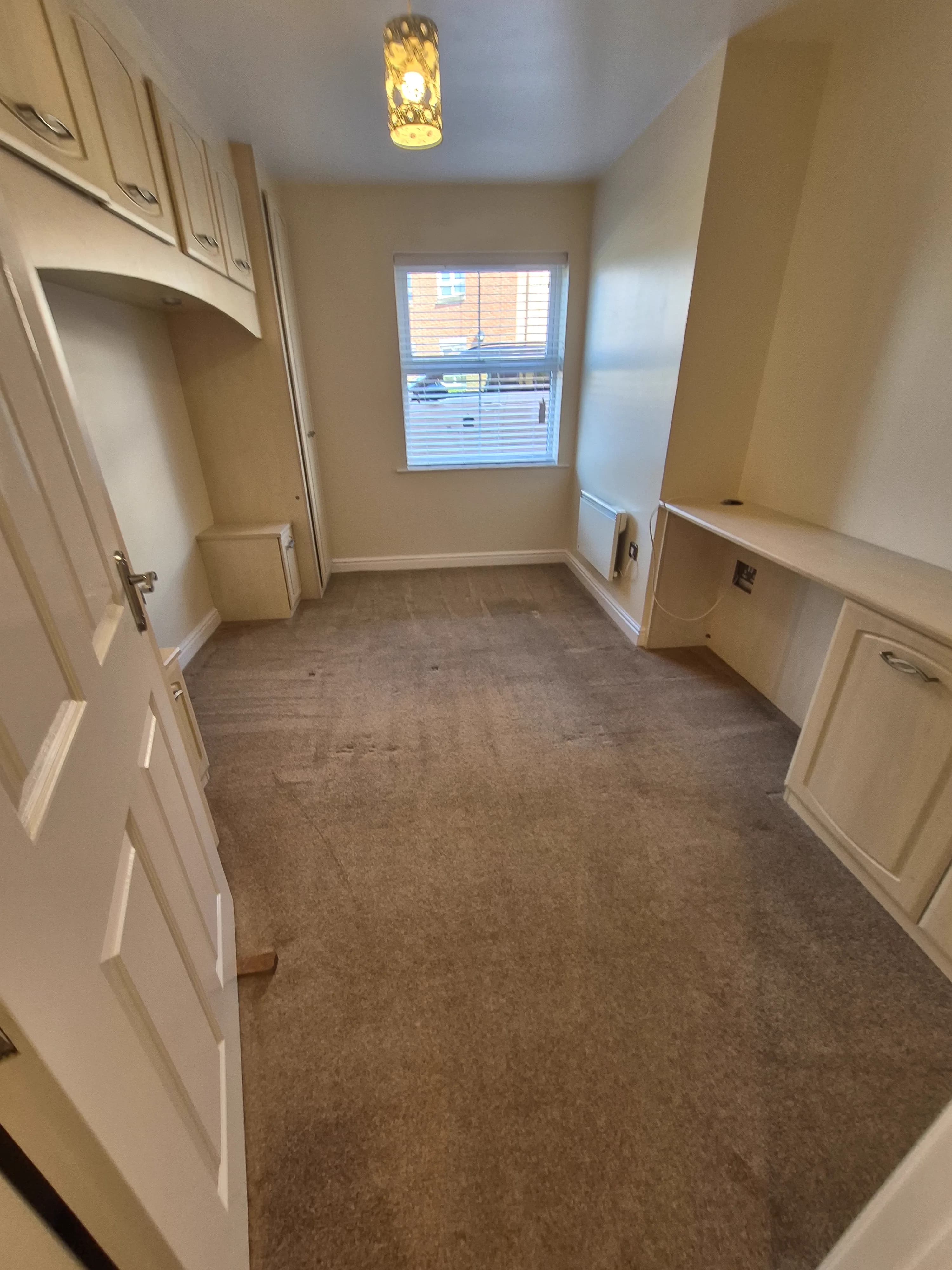 Professional carpet cleaning result — LWR Group Lincoln