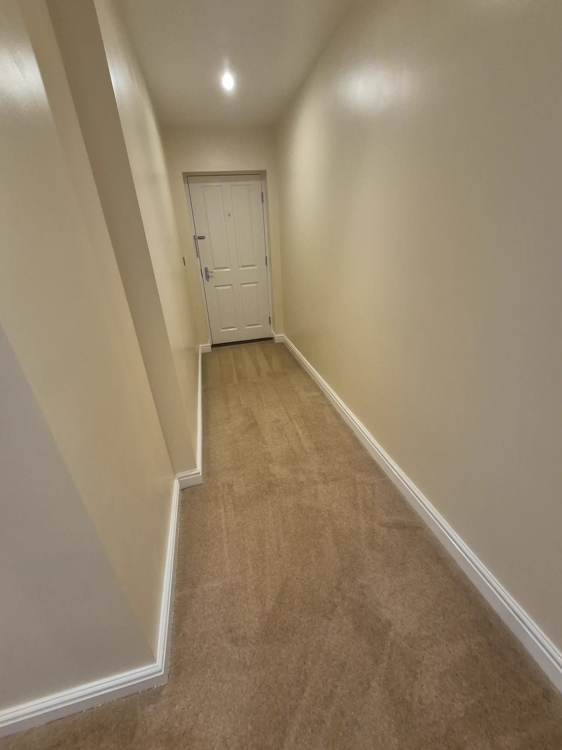 Bedroom carpet dried and groomed after LWR Group's hot water extraction clean in Lincoln