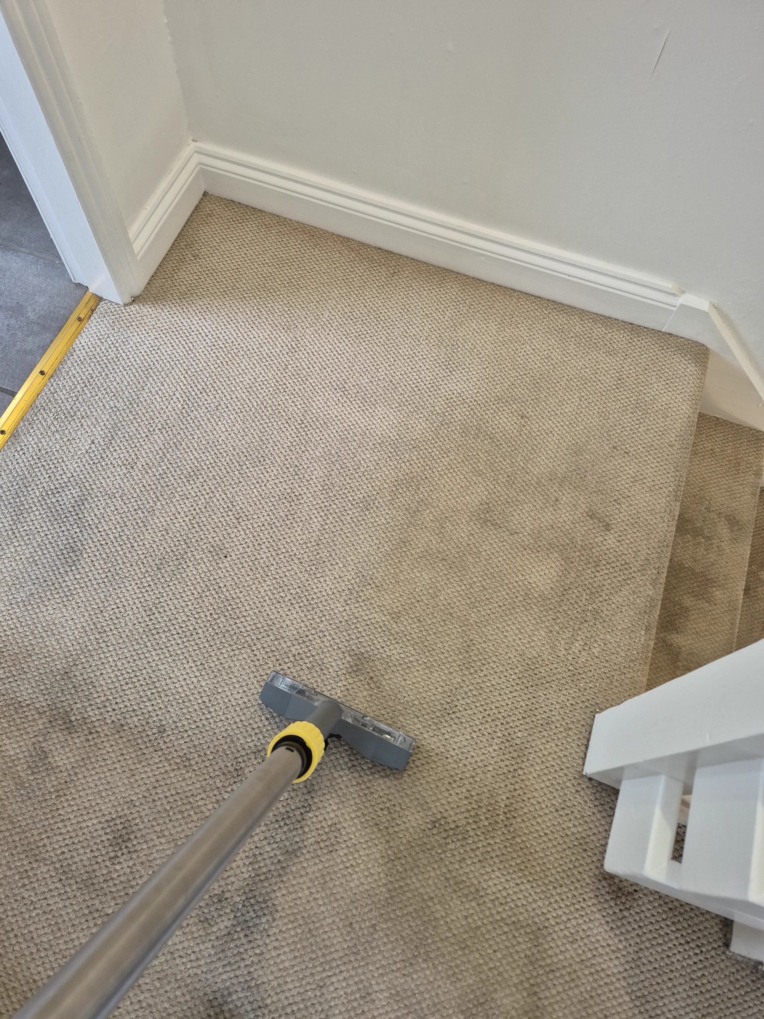 LWR Group's professional carpet cleaning machine mid-job on a Lincoln residential carpet