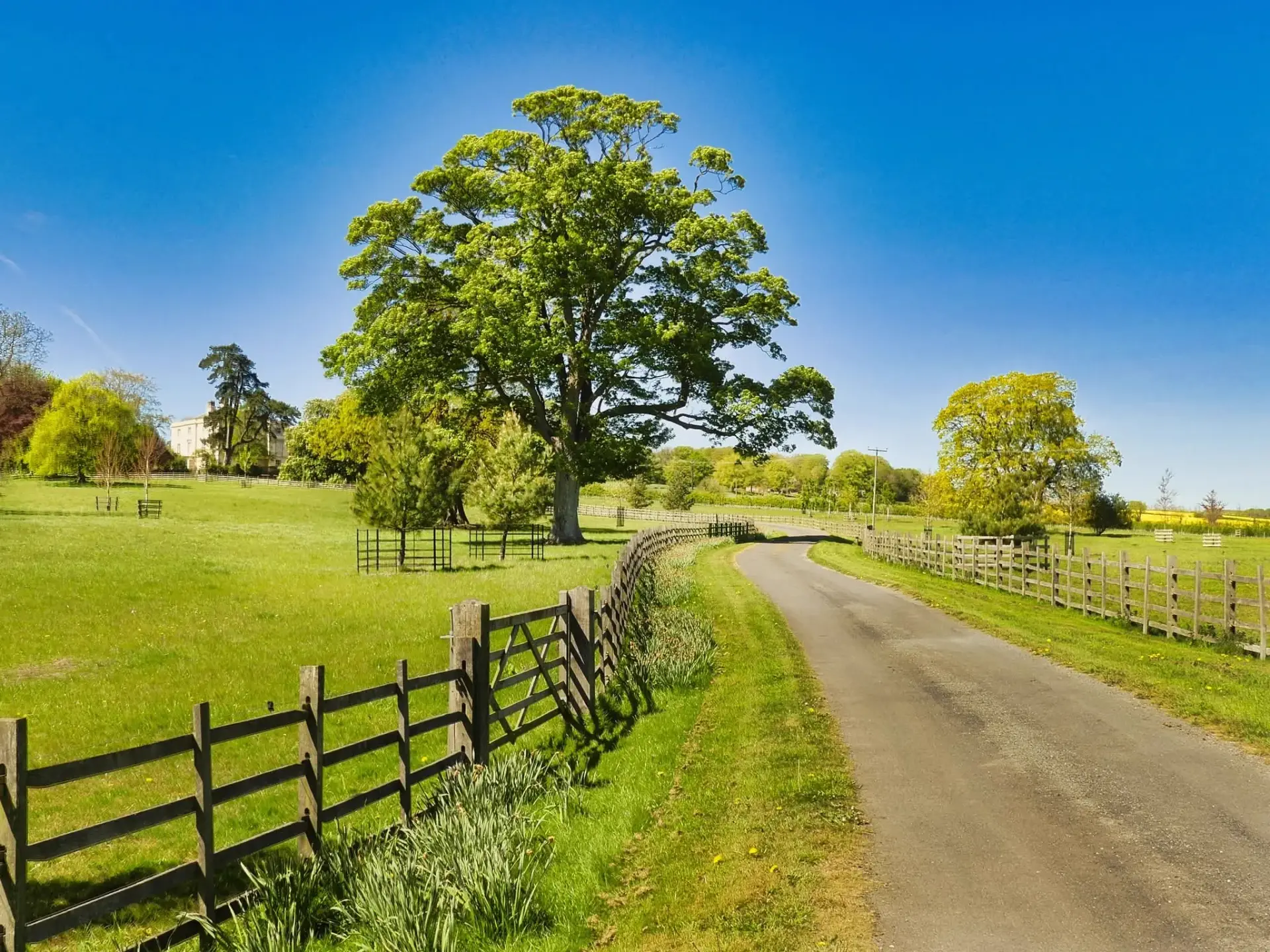 Lincolnshire countryside lane with wooden fencing and mature trees, the rural villages around Lincoln where LWR Group's partner network reaches