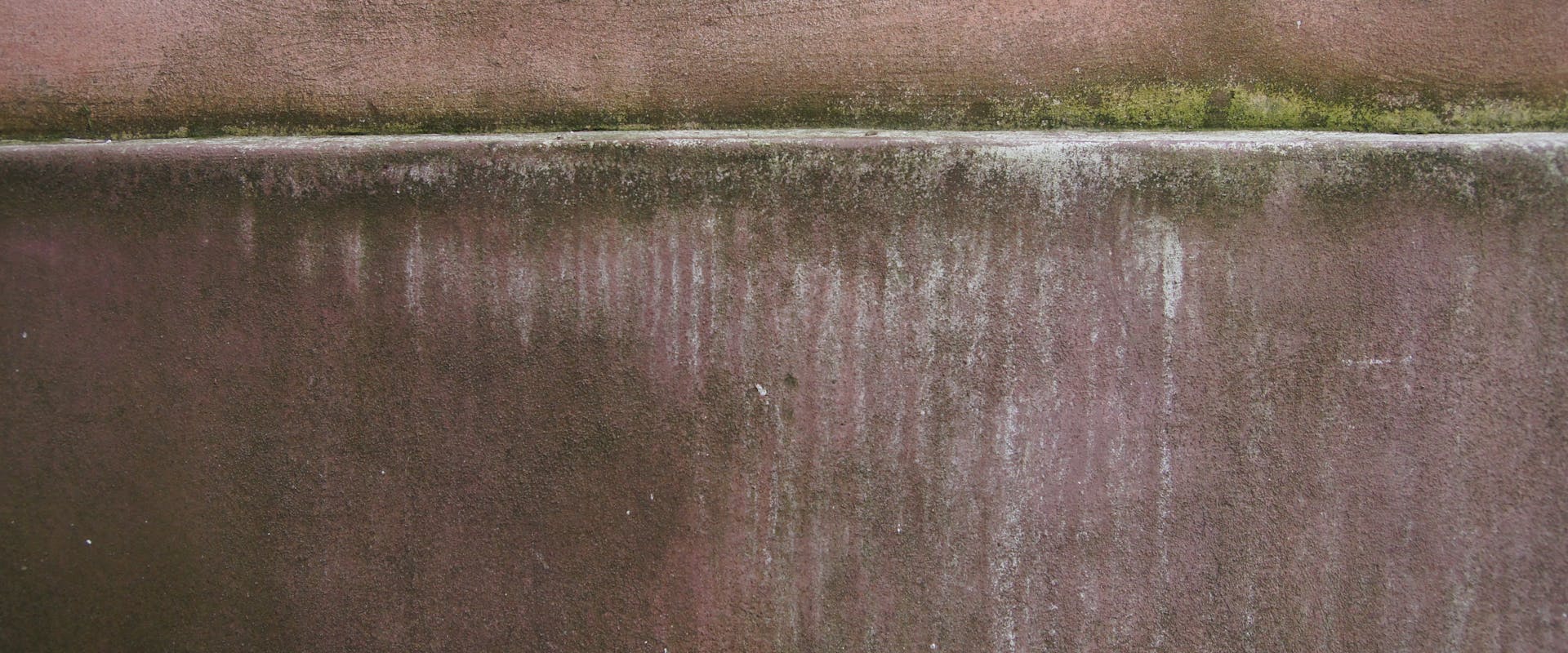 Damp-stained wall texture — Awaab's Law requires landlords to address damp and mould quickly