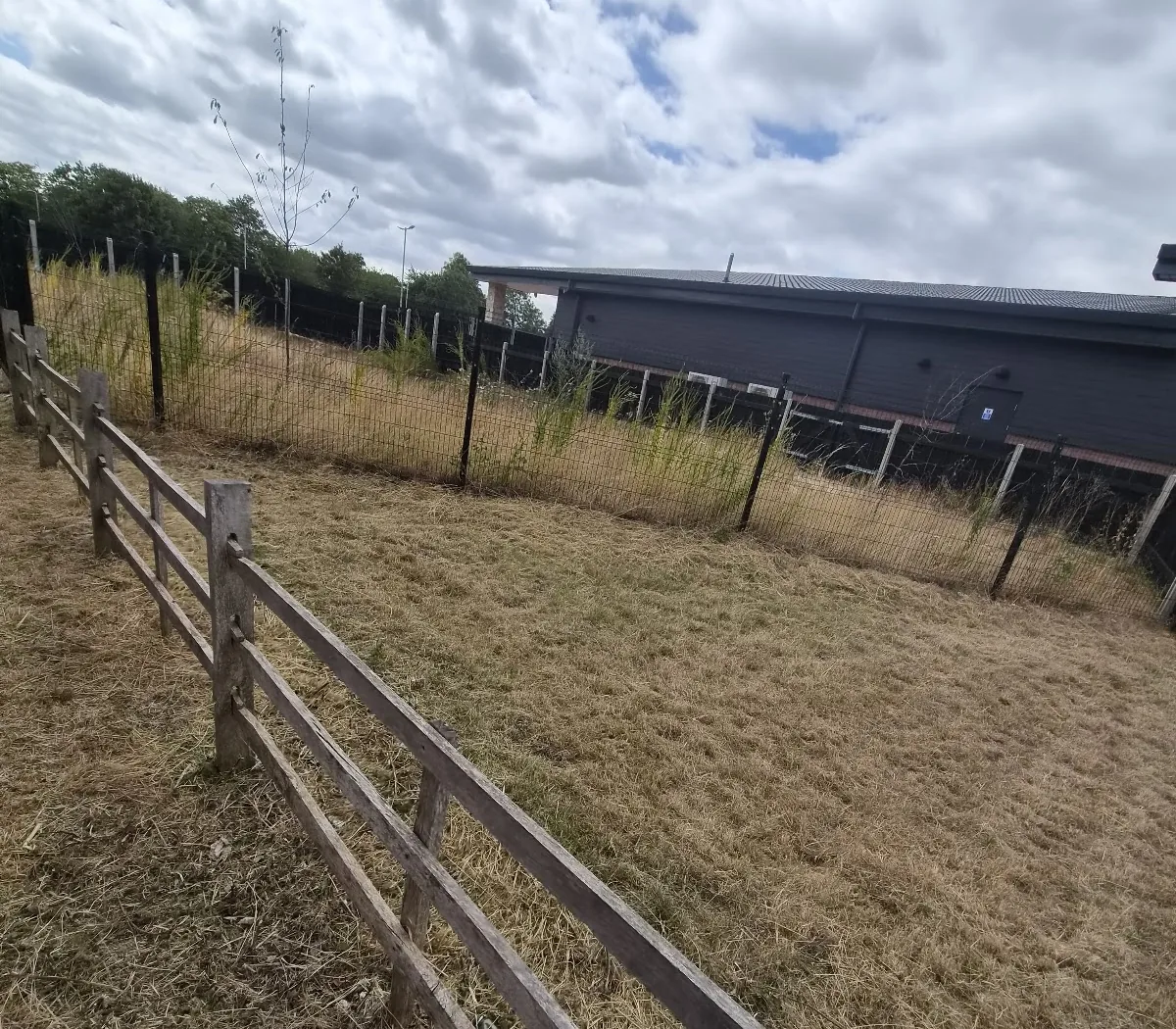 Grass cut back at a commercial site in Lincolnshire, with the building and perimeter fencing behind